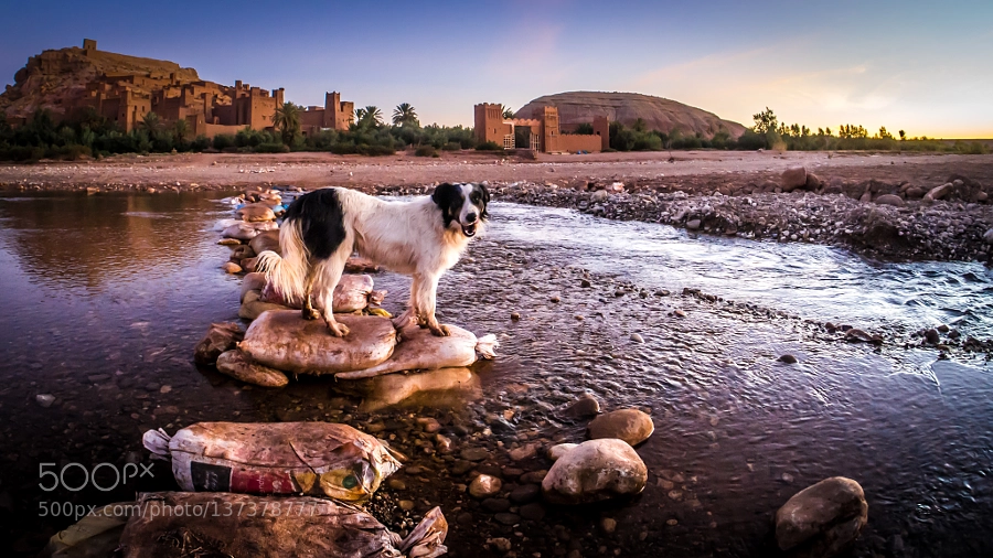 Full day Trip to Ait Ben Haddou Kasbah & Ourzazate