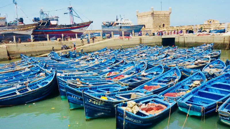 Full day trip to Essaouira from Marrakech