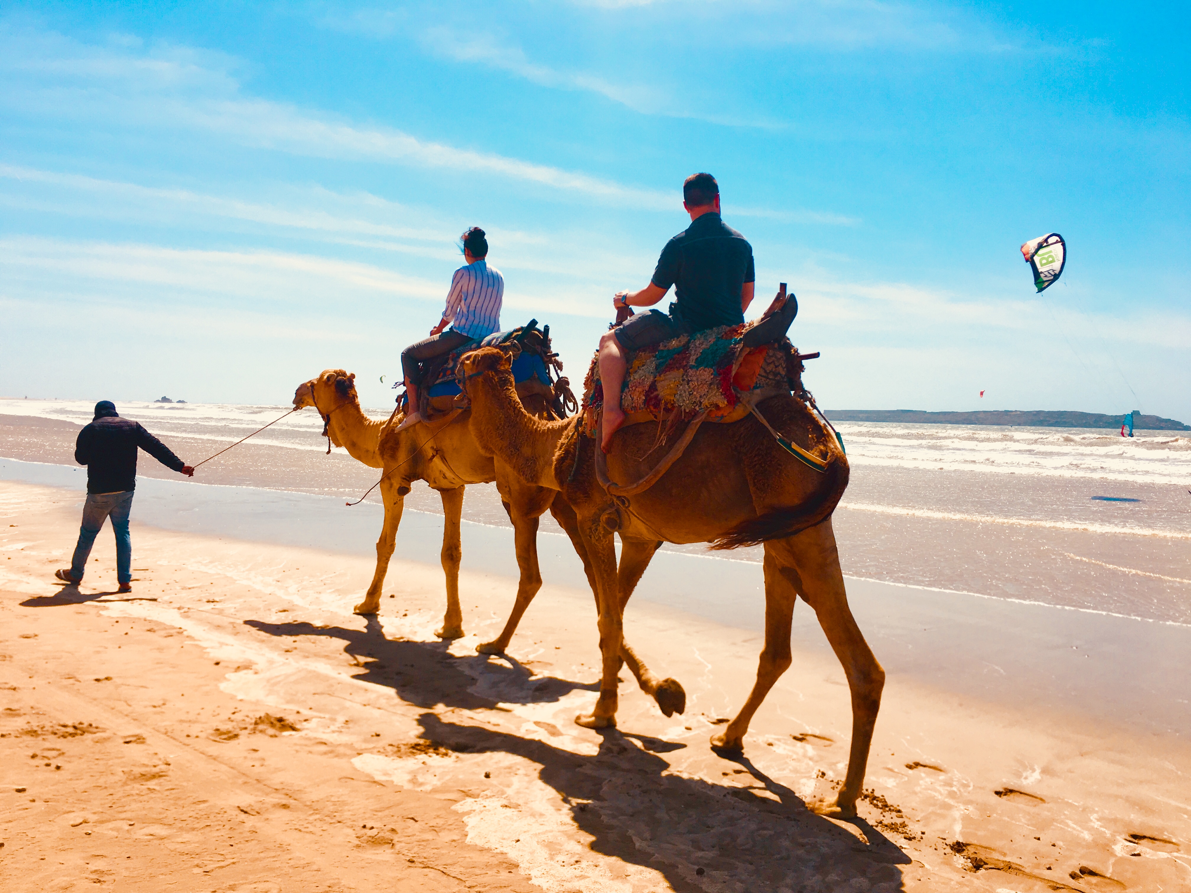 Full day trip to Essaouira from Marrakech