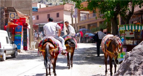 Full day Trip to Imlil Valley from Marrakech 