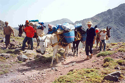 Full day Trip to Imlil Valley from Marrakech 