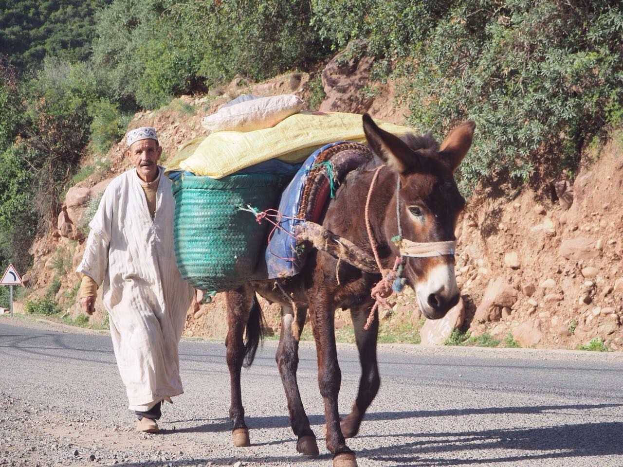 Full day trip to the 3 Berber valleys and Atlas Mountains 