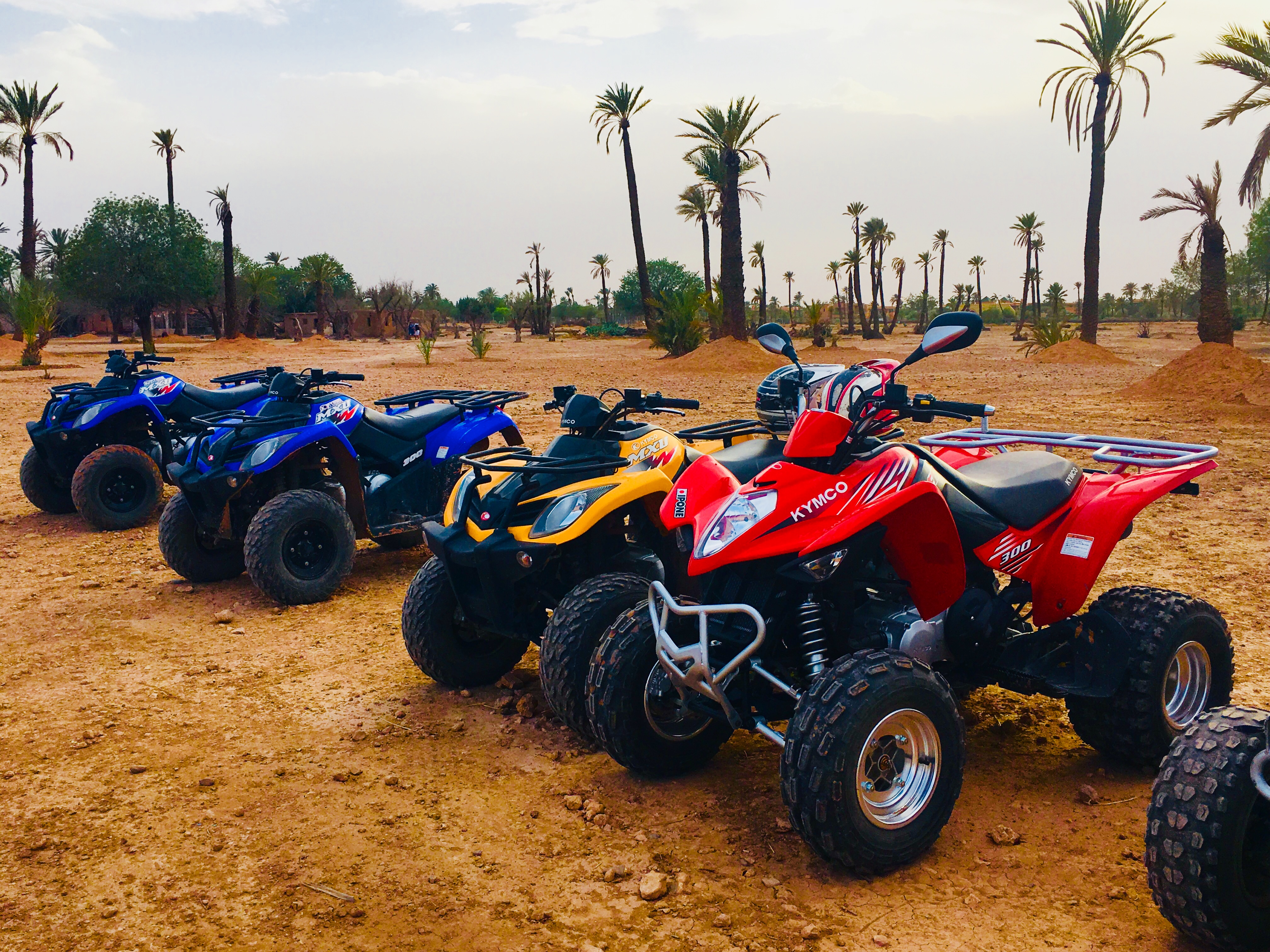 Quad Biking Safari In the palm grove of Marrakech