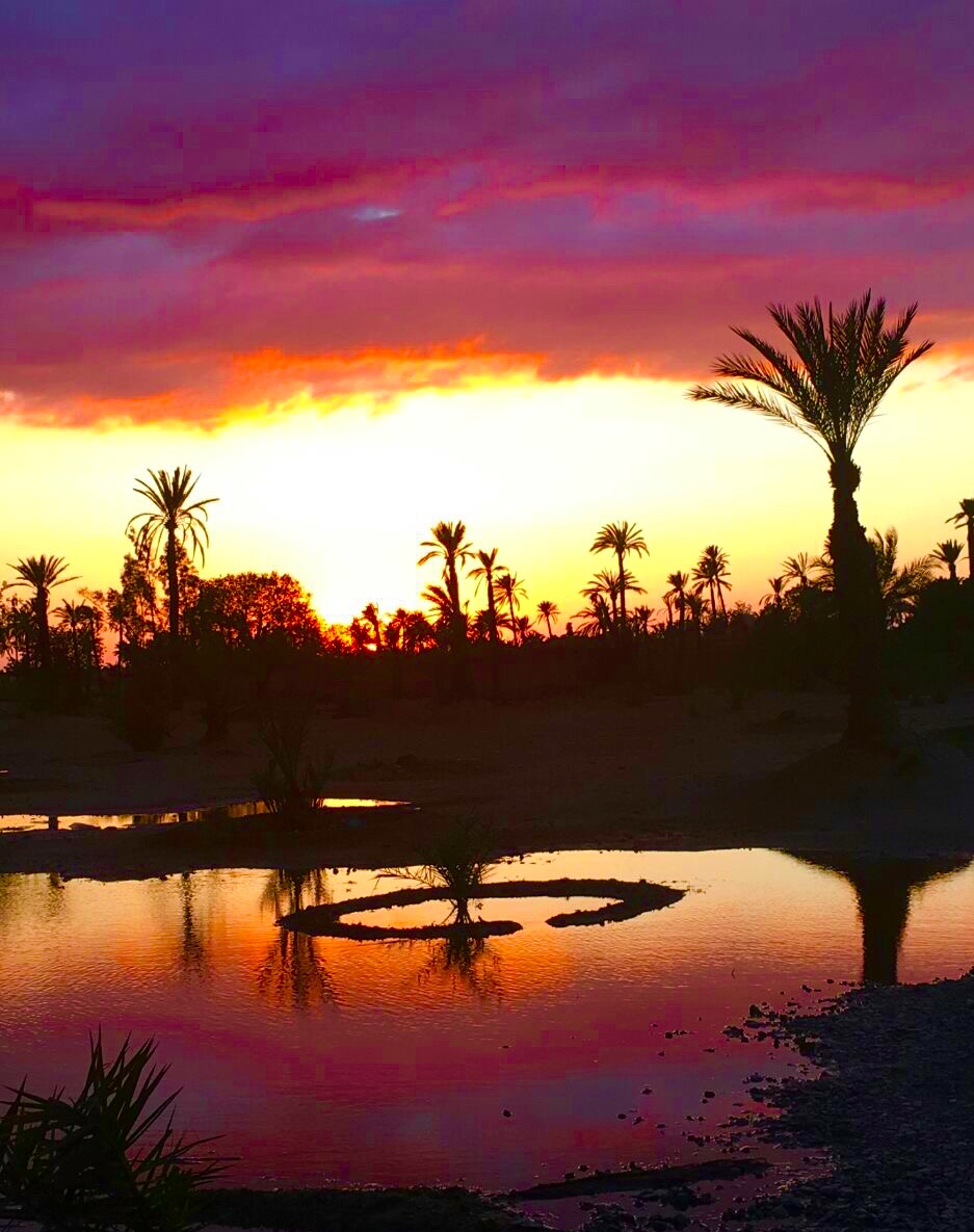 Quad Biking Safari In the palm grove of Marrakech
